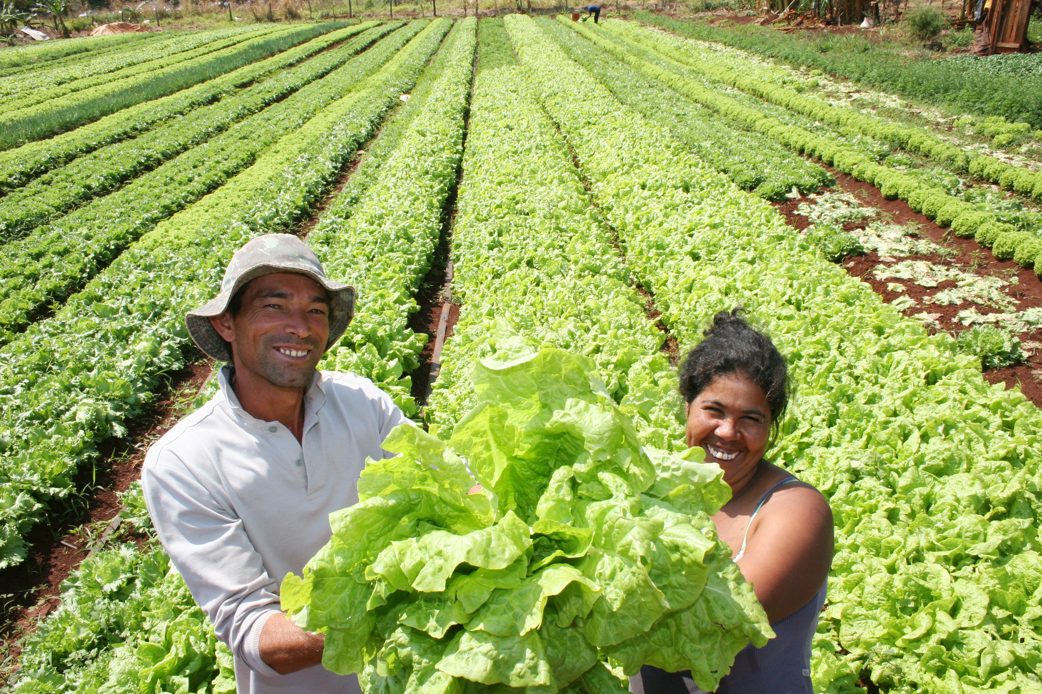 Governo compra R$6 mi em produtos da agricultura familiar