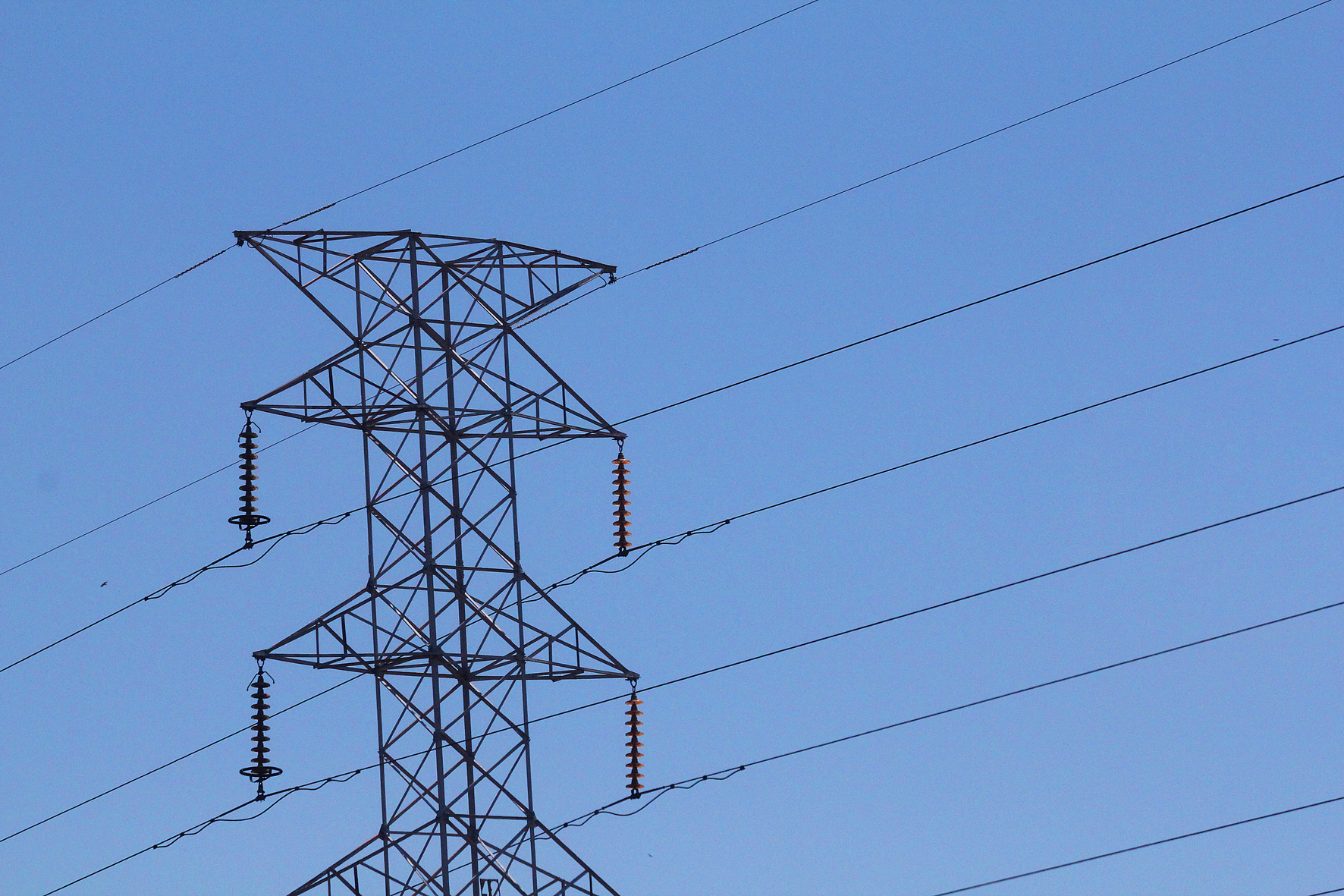 Enio Verri destaca Plano Nacional de Energia Elétrica lançado pelo governo