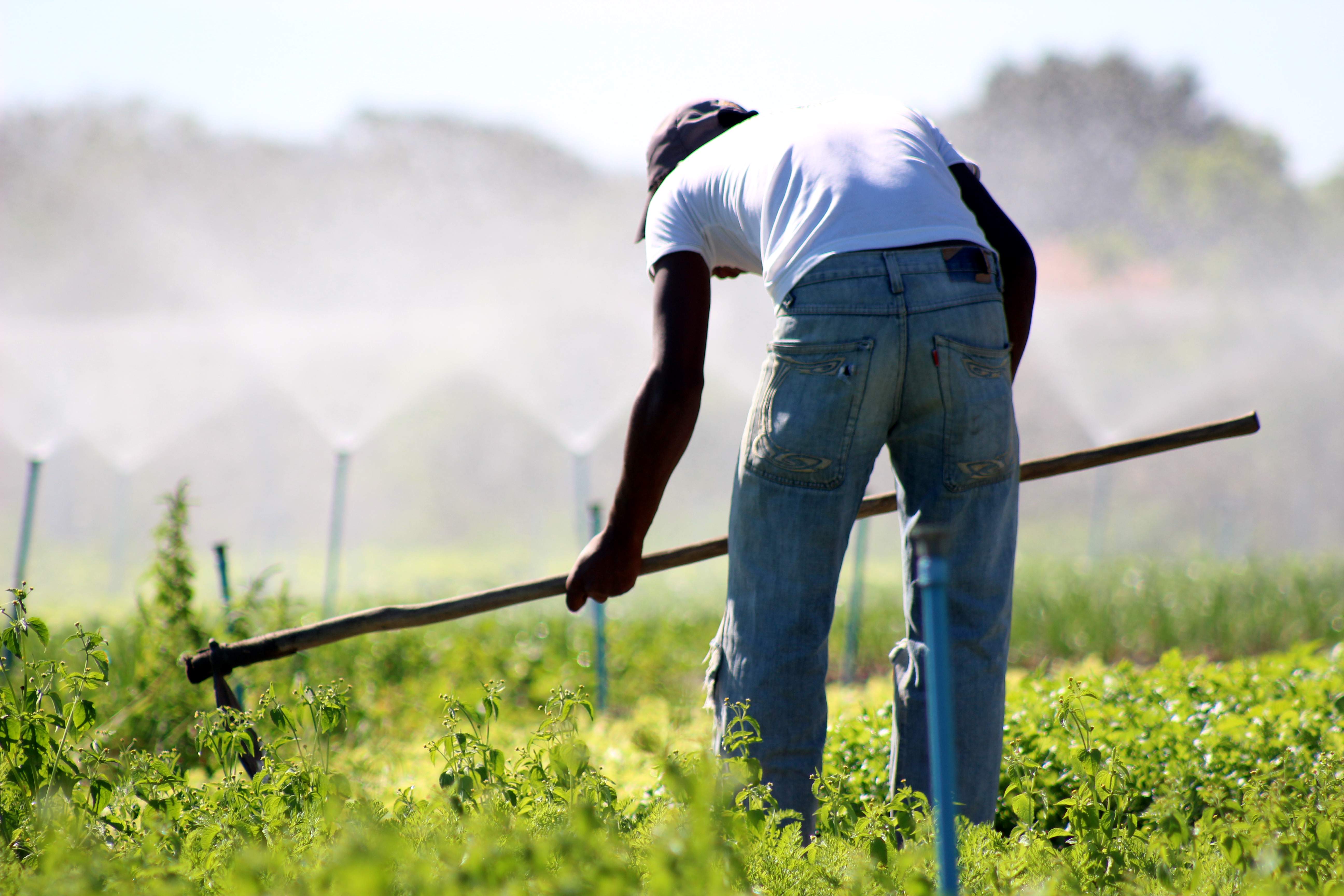 Governo destina 12,2 milhões de hectares para regularização fundiária