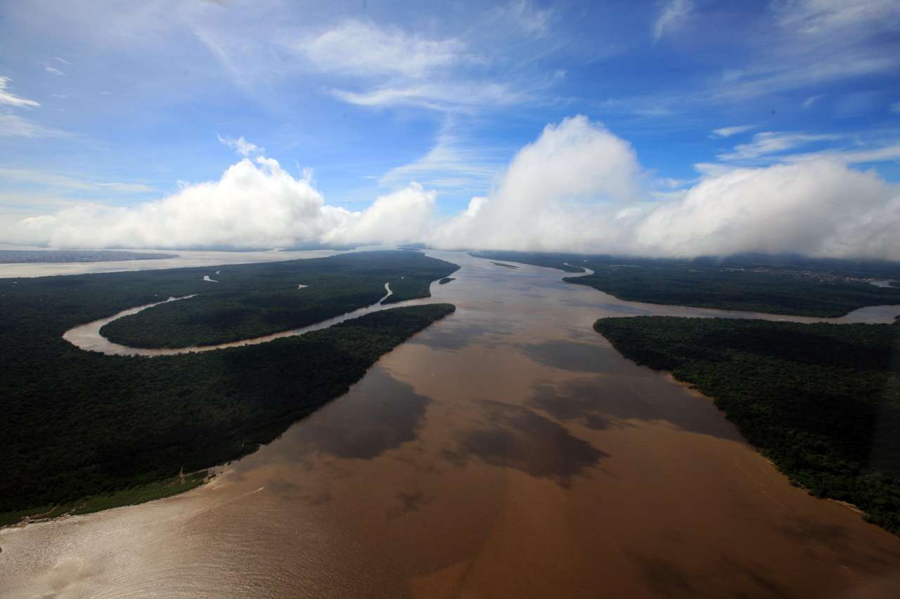 Empate dos Povos da Amazônia: Anne defende mobilização pela floresta