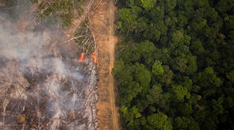 MP da regularização fundiária estimula devastação da Amazônia