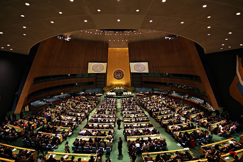 ONU: Entenda o Sistema de Direitos Humanos que o Brasil desrespeitou