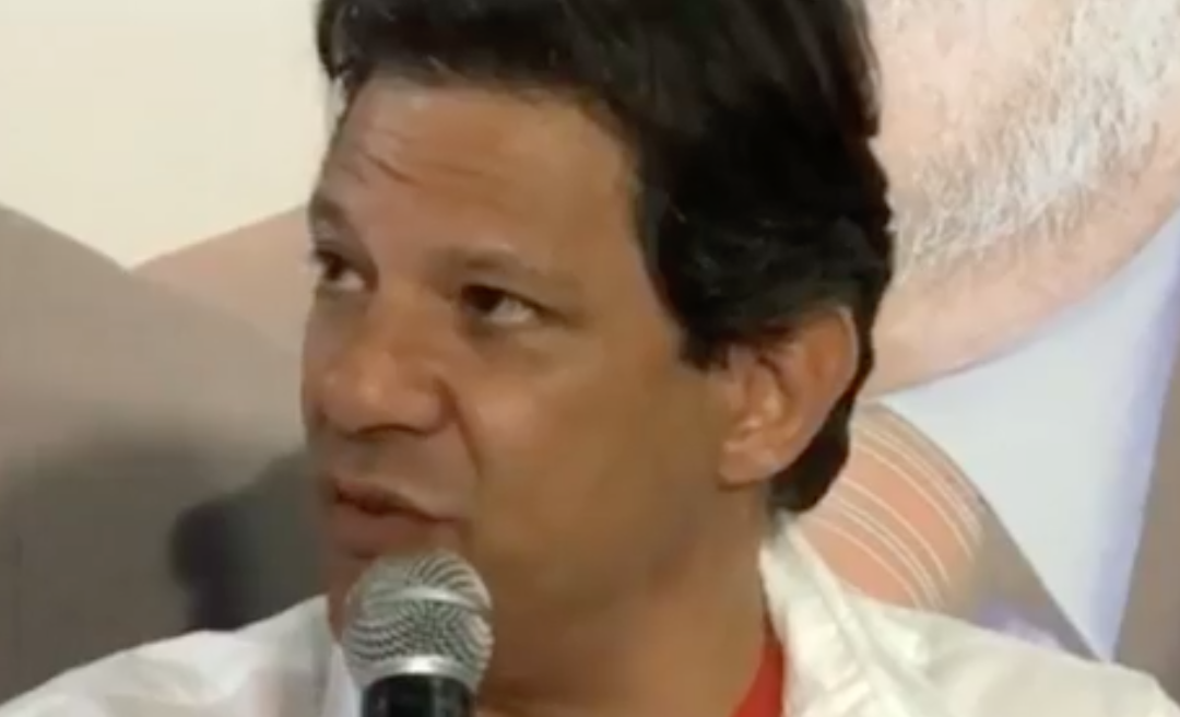 Assista: Coletiva com Haddad, Manu e Décio Lima em SC