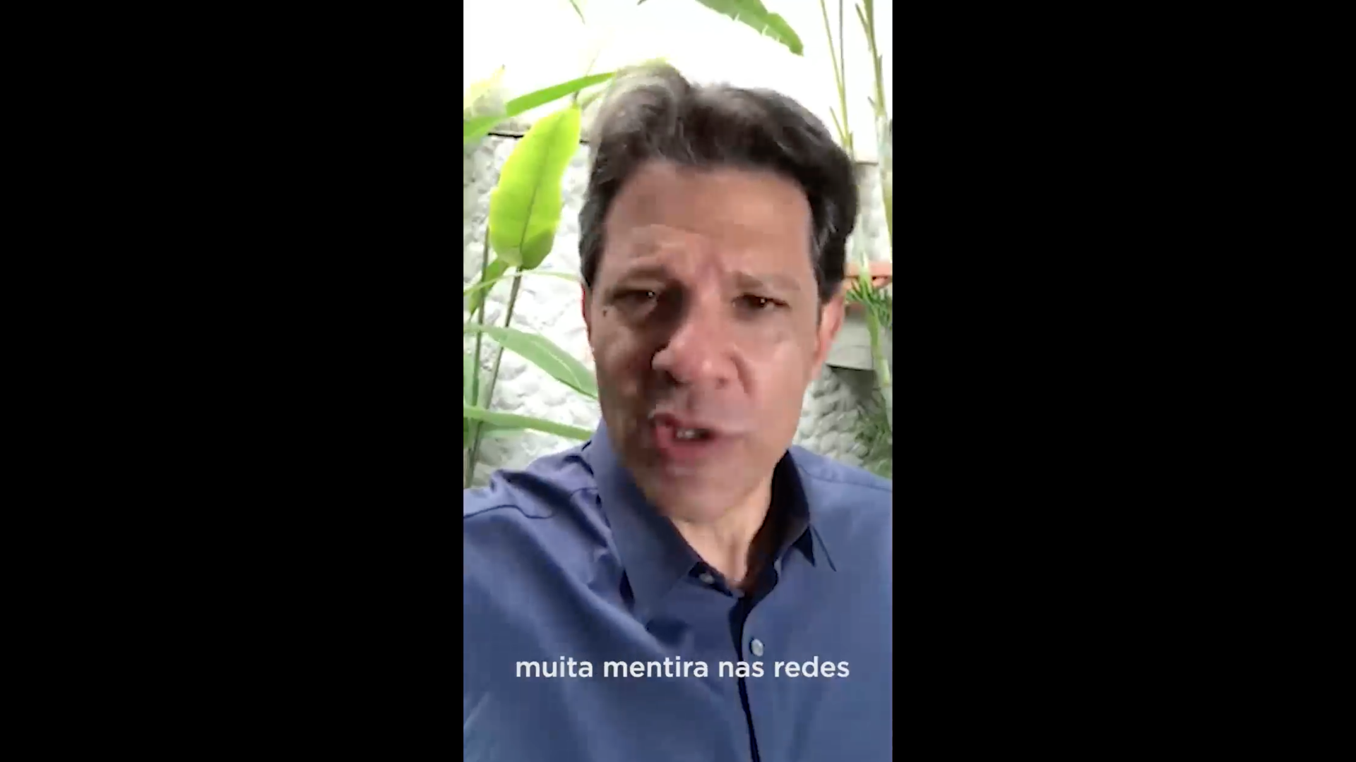 Assista: Fernando Haddad fala sobre fake news