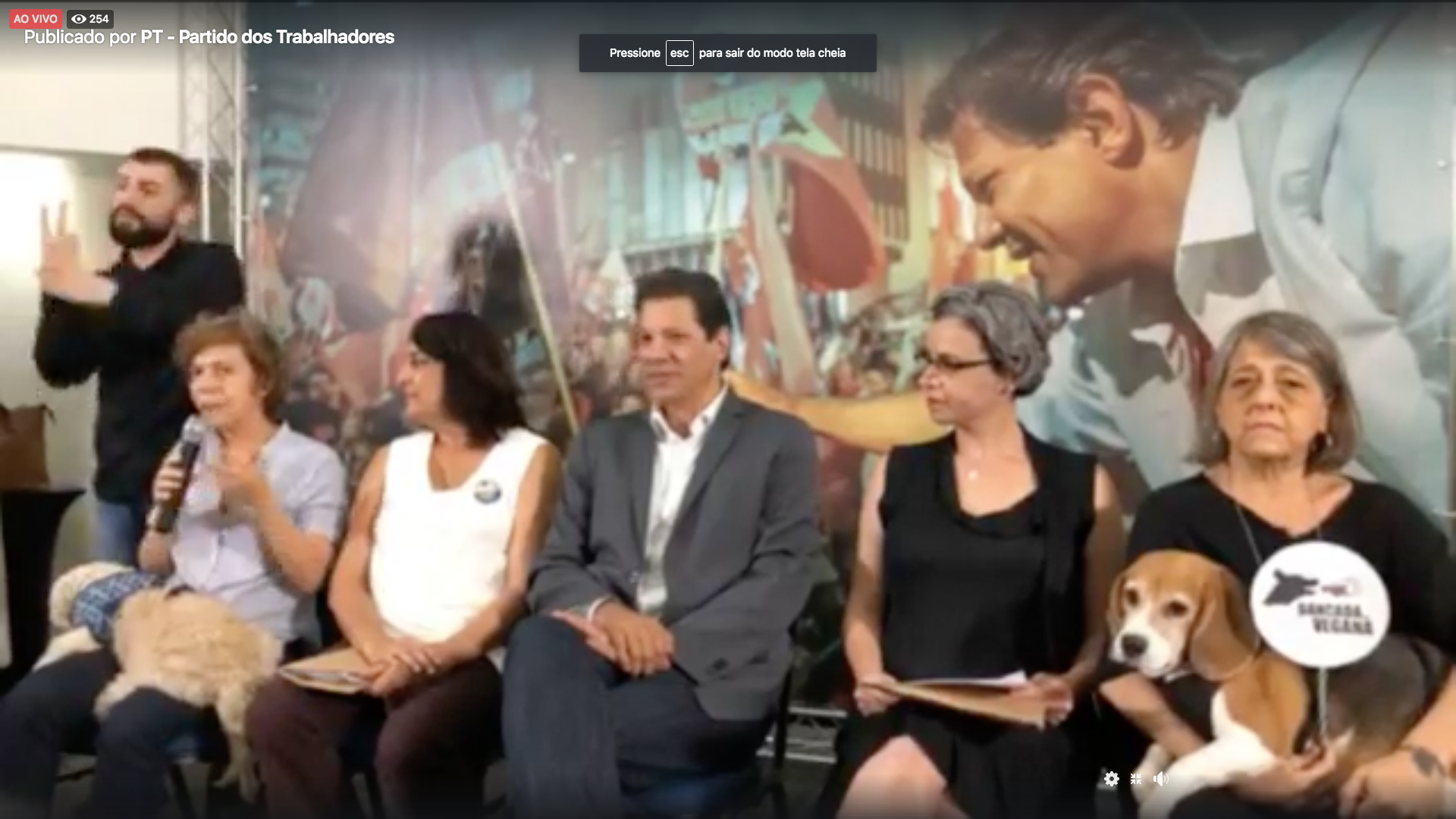 Assista: Encontro de Haddad com grupos de defesa dos animais