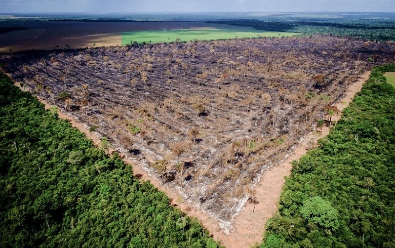 PEC dos Fundos acaba com políticas de combate ao desmate na Amazônia