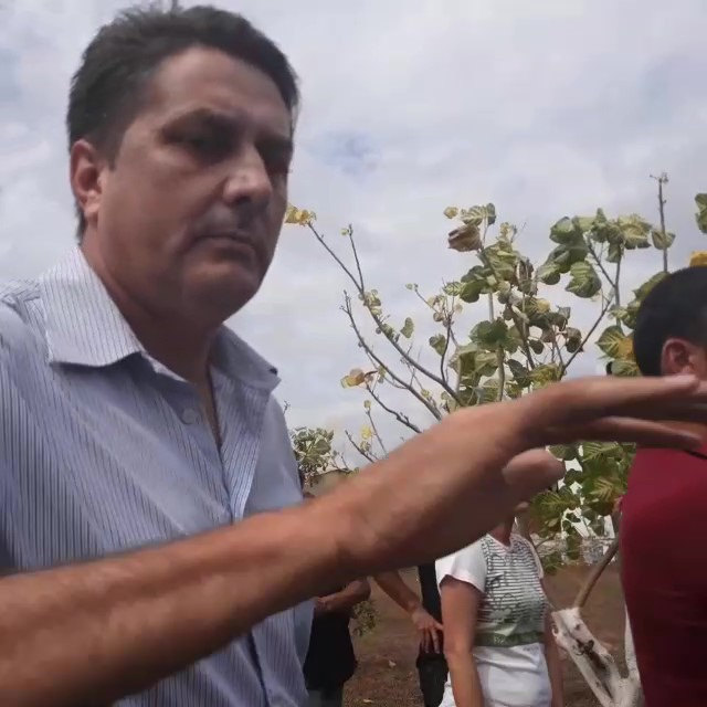 Fazendeiros tumultuam inspeção da OEA e agridem indígenas no Pará