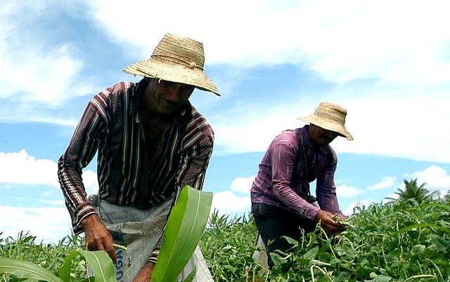 Dia do Trabalhador Rural: como Bolsonaro prejudica a vida no campo