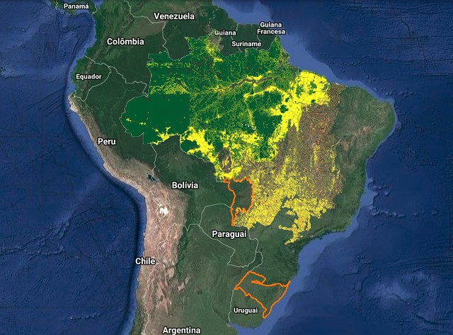 Edital do Ibama abre espaço para empresa dos EUA monitorar Amazônia