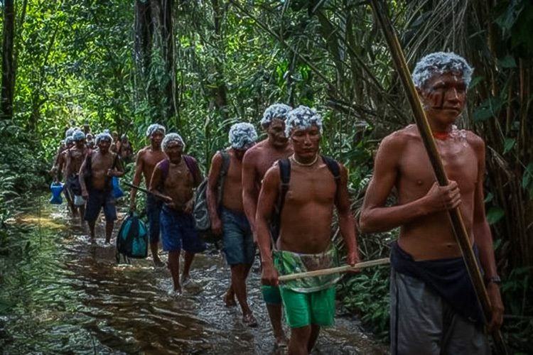 PT repudia ataque à comunidade indígena Yanomami, em Roraima