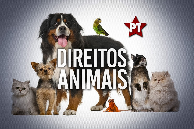 PT promove seminário setorial de Direitos Animais