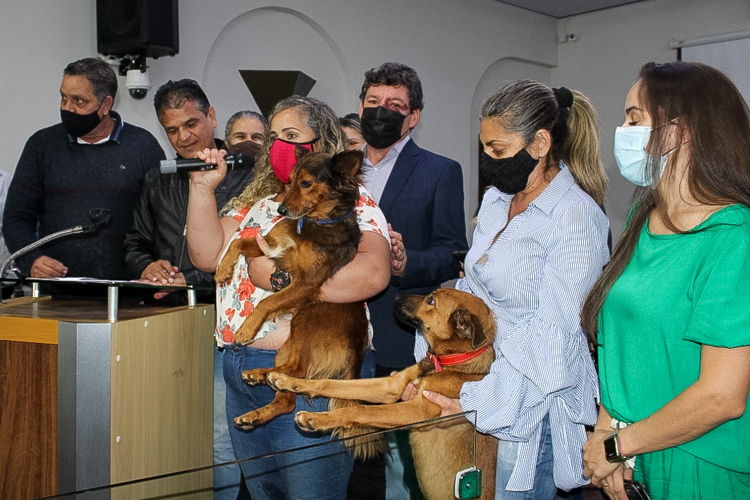 Prefeito Luizinho sanciona lei que cria SUS Animal em Alfenas