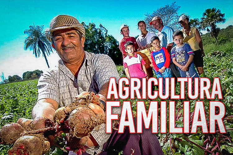 Projeto de Paulo Rocha de apoio à agricultura familiar em Marajó avança