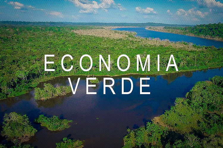 Economia verde pode resgatar protagonismo do Brasil, aponta Seminário