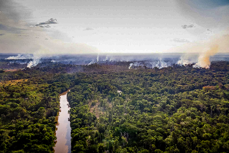 Estrago bolsonarista: Amazônia tem novo recorde de queimadas em 24h