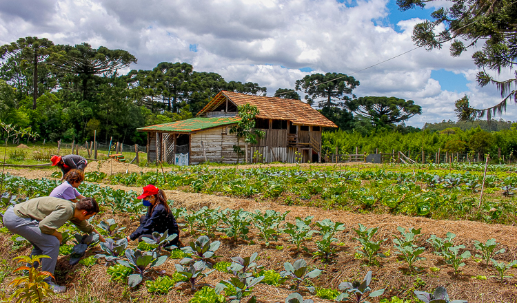 MST convida povo a conhecer o dia a dia das áreas da Reforma Agrária Popular