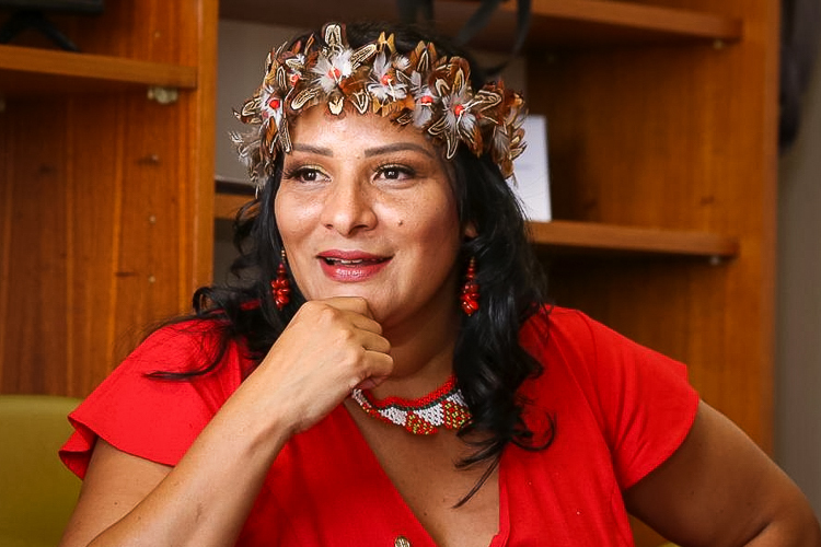 Juliana Cardoso defende ações para incentivar acesso de indígenas à educação