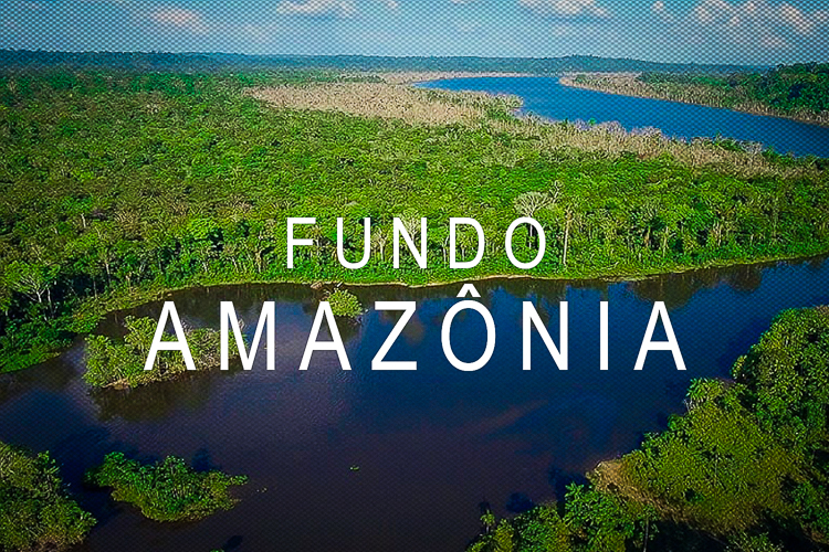 Com Lula, Suíça e EUA doam cerca de R$ 45 milhões para o Fundo Amazônia