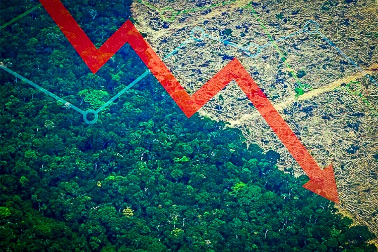 Efeito Lula: desmatamento na Amazônia tem maior queda dos últimos 11 anos