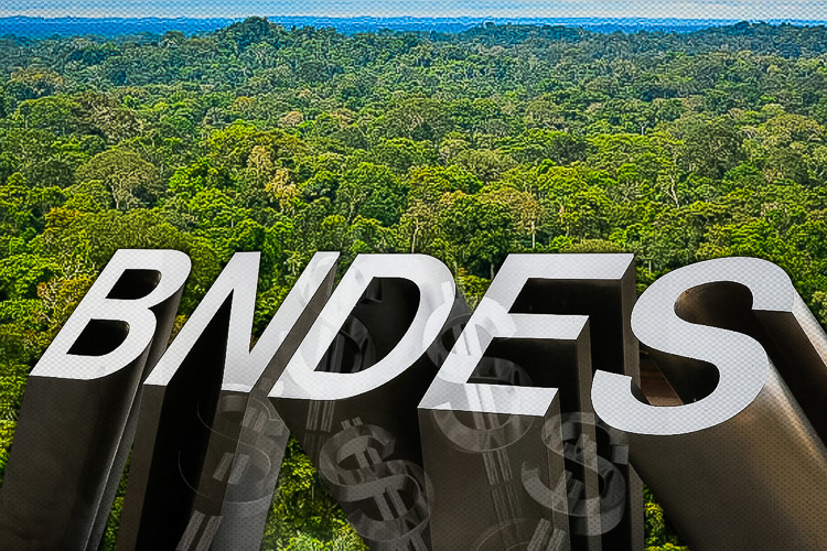 BNDES anuncia edital de R$ 450 milhões do Fundo Amazônia para ações de reflorestamento