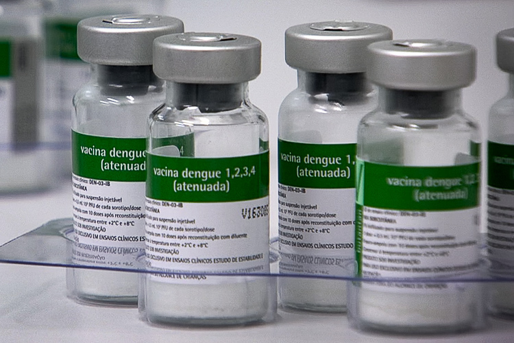 Vacina contra dengue para grupos prioritários chega ao SUS a partir de fevereiro