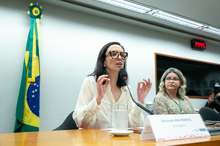 Pimentel destaca papel da bancada feminina do PT na Câmara dos Deputados