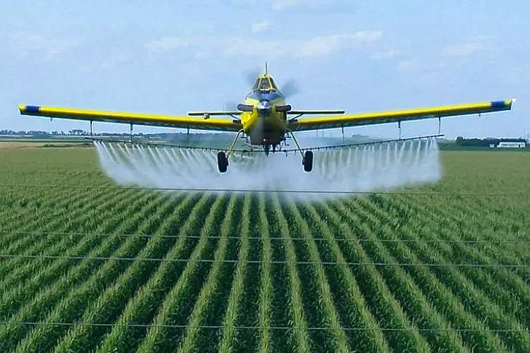 Especial clima: monocultura extensiva e negacionismo do agro agravam riscos ao meio ambiente