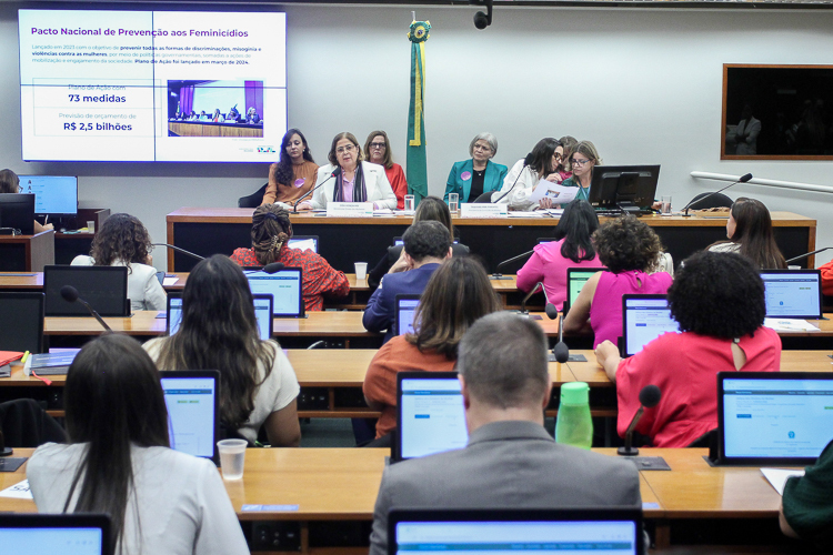 Cida Gonçalves apresenta ações do Ministério das Mulheres