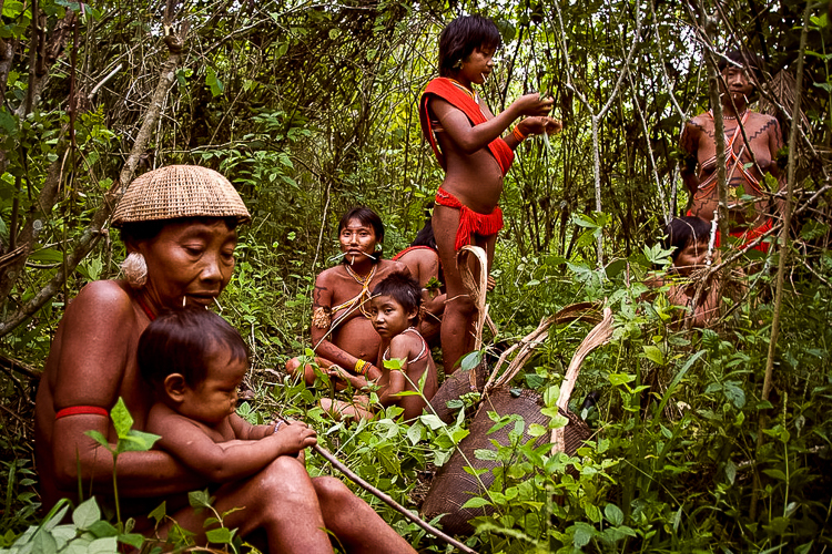 Governo Lula reduziu óbitos entre indígenas em 33% no Território Yanomami