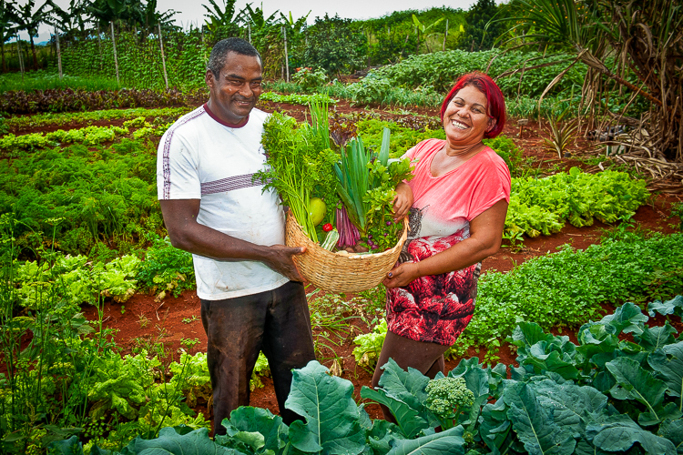 Sancionado projeto de Gleisi que ampara agricultor afetado por desastres naturais