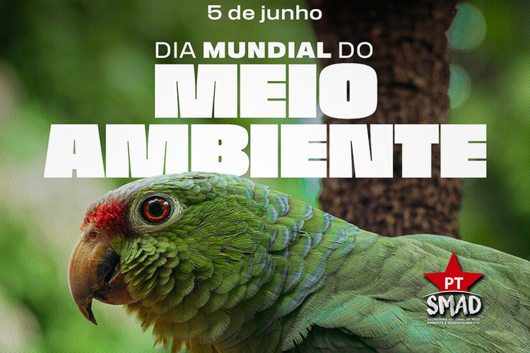 Nota da Smad: Dia Mundial do Meio Ambiente