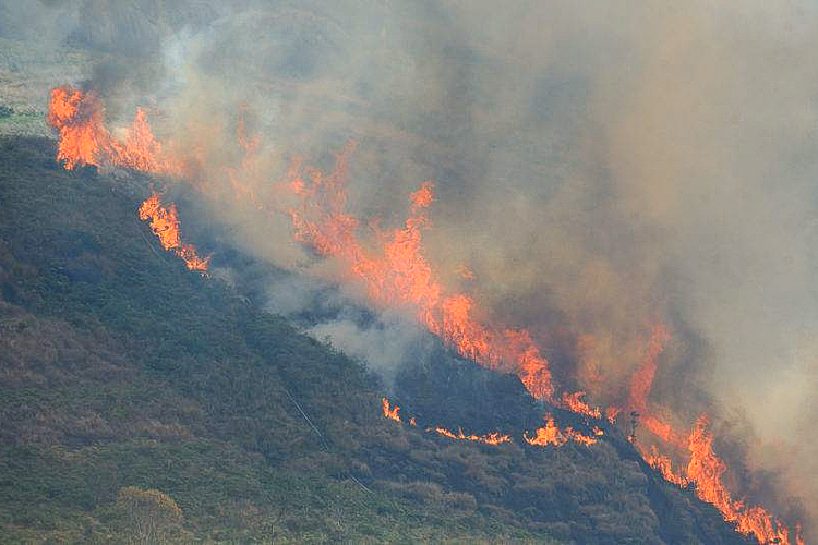 Petistas apontam ação orquestrada em queimadas e pedem apuração da PF