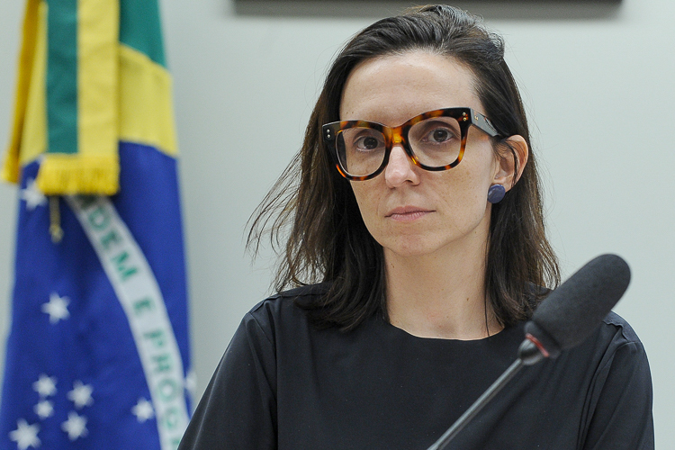 Ana Pimentel integra grupo de congressistas que designaram recursos para o meio ambiente