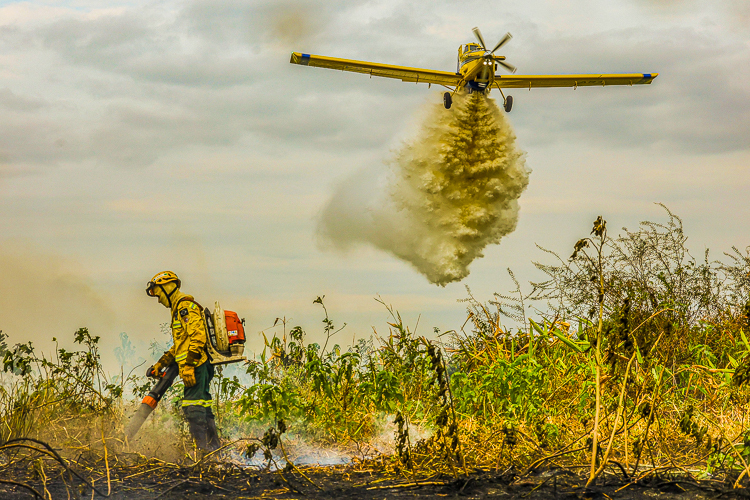 Governo Lula aumenta em 118% número de agentes para combate a incêndios florestais