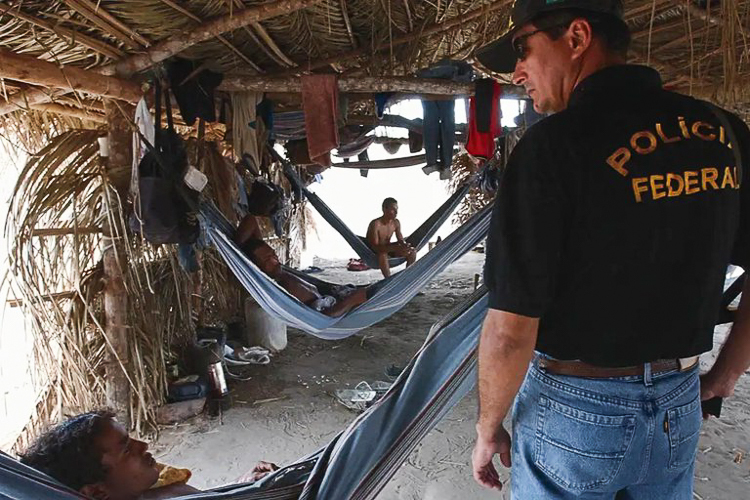 Recorde histórico: em agosto, 593 vítimas são libertadas do trabalho escravo no Brasil