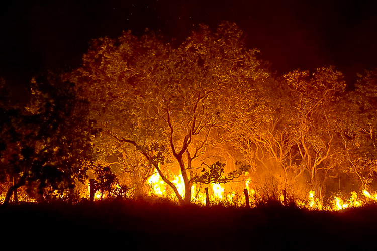 Lula impõe novas multas e valores maiores a provocadores de incêndios