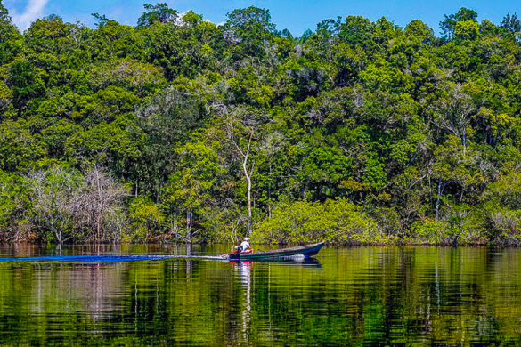 Em agosto, desmatamento na Amazônia caiu 70% em relação ao mesmo mês de 2022