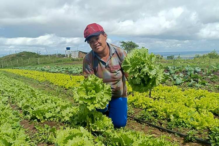 Bolsa Verde: R$ 60 milhões para 15 mil famílias em unidades de conservação ambiental