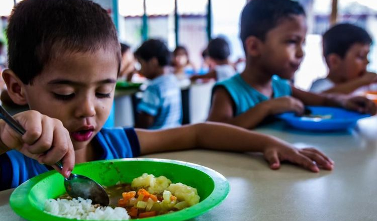 Aliança Global contra a Fome ganha força no G20 com adesão de novos países