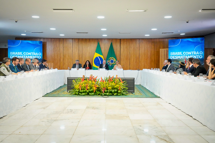 Governo Lula reduz desmatamento na Amazônia e no Cerrado