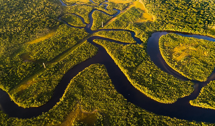 Efeito Lula: Fundo Amazônia alcança recorde de R$ 882 milhões em projetos