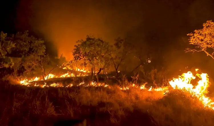 Em 2023, Brasil reduziu em 12% emissão de gases do efeito estufa, recorde em 15 anos