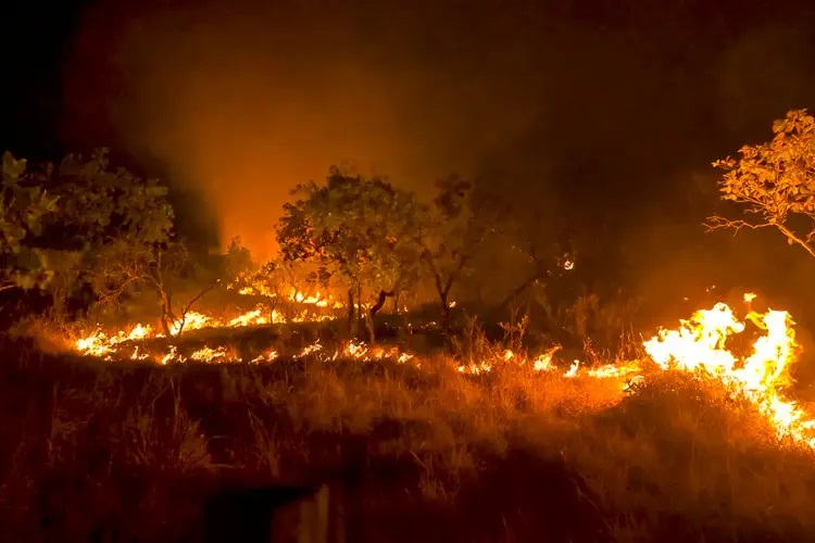 Em 2023, Brasil reduziu em 12% emissão de gases do efeito estufa, recorde em 15 anos