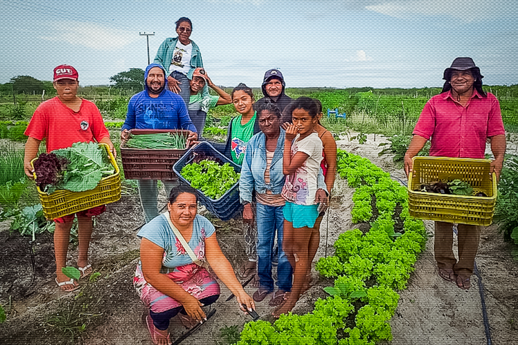 Compra de alimentos pelo governo Lula aumenta renda de pequenos agricultores