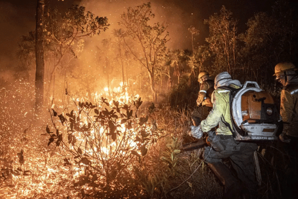 <font style=vertical-align: inherit;><font style=vertical-align: inherit;><font style=vertical-align: inherit;><font style=vertical-align: inherit;>Aprovado na Câmara projeto que reforça combate a incêndios e resposta a desastres</font></font></font></font>