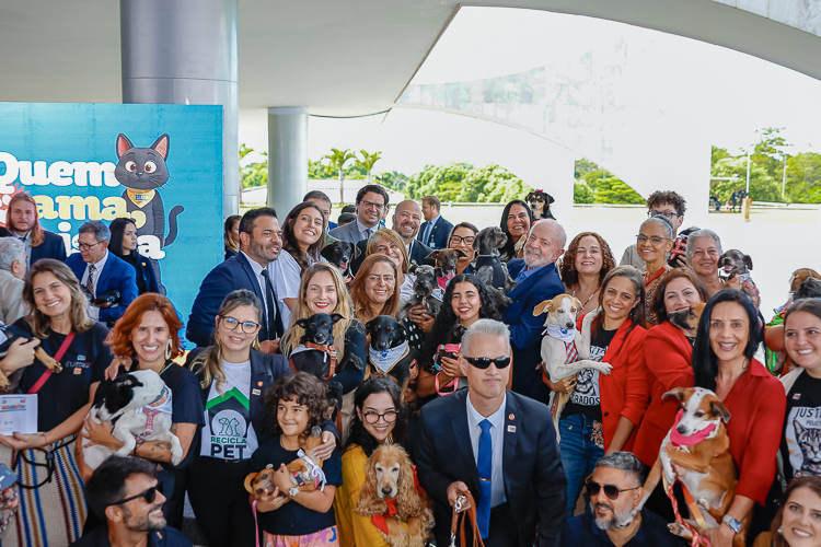 Governo cria RG nacional gratuito para cães e gatos
