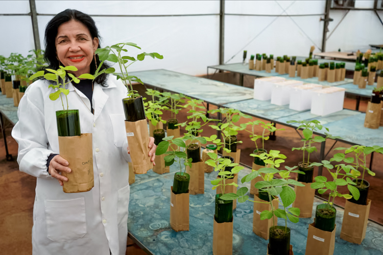 Engenheira da Embrapa é 1ª brasileira a ganhar o “Nobel da Agricultura”
