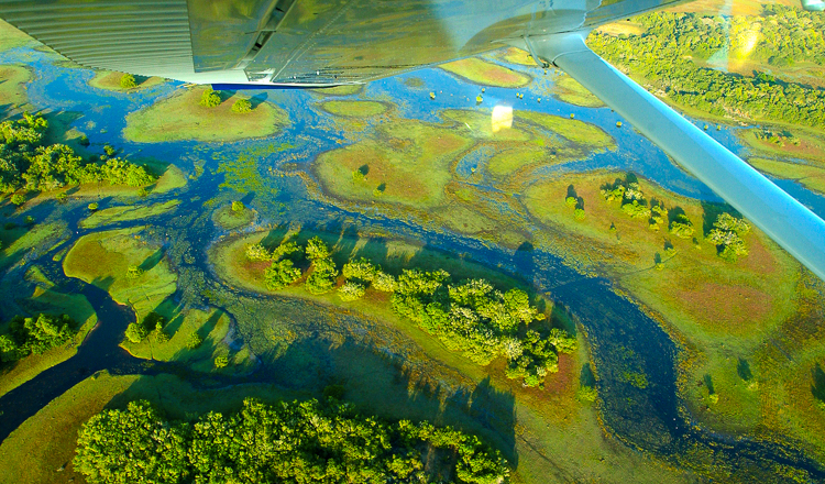 Desmatamento registra queda de 75% no Pantanal, entre agosto de 2024 e abril de 2025