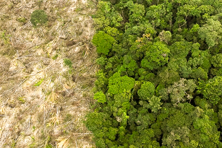 Com o voto contrário do PT, Câmara flexibiliza o licenciamento ambiental e aprova o “PL da Devastação”