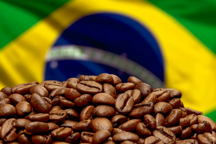 Novos mercados: China habilita 183 exportadores brasileiros de café